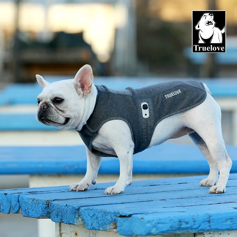 Truelove dog coat with reflective material